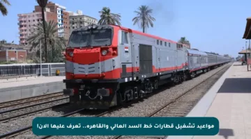 مواعيد تشغيل قطارات خط السد العالي والقاهرة.. تعرف عليها الآن!